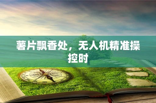 薯片飘香处，无人机精准操控时