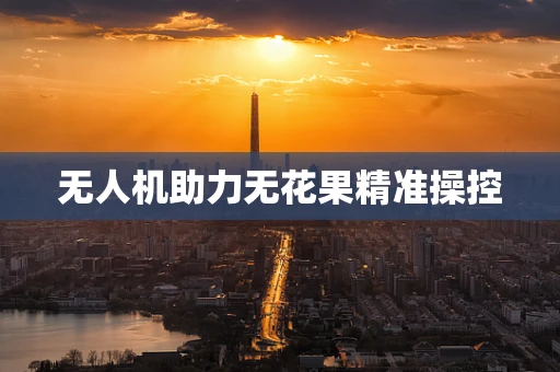 无人机助力无花果精准操控