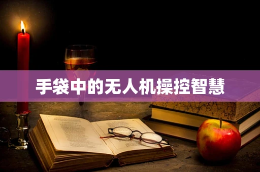 手袋中的无人机操控智慧