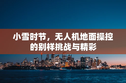小雪时节，无人机地面操控的别样挑战与精彩