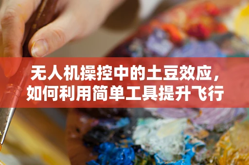 无人机操控中的土豆效应，如何利用简单工具提升飞行安全？