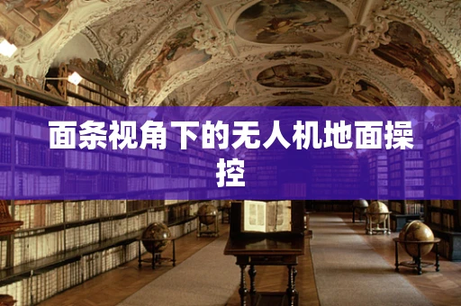 面条视角下的无人机地面操控