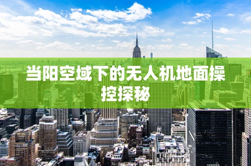 当阳空域下的无人机地面操控探秘