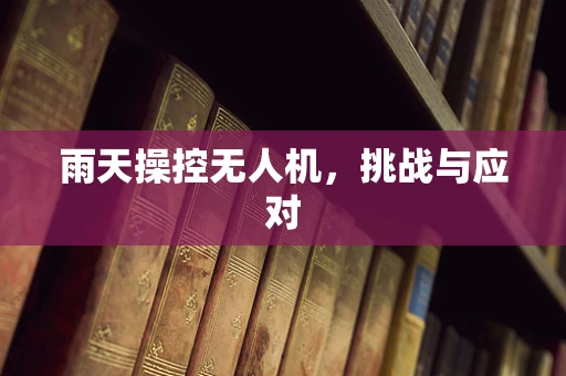 雨天操控无人机，挑战与应对