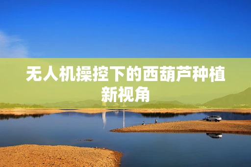 无人机操控下的西葫芦种植新视角