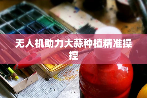 无人机助力大蒜种植精准操控