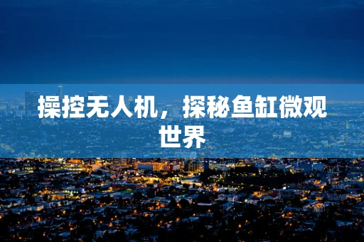 操控无人机，探秘鱼缸微观世界