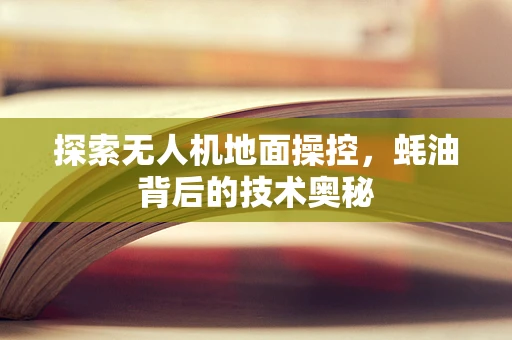 探索无人机地面操控，蚝油背后的技术奥秘