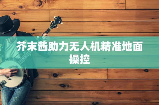芥末酱助力无人机精准地面操控