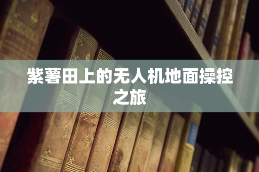 紫薯田上的无人机地面操控之旅