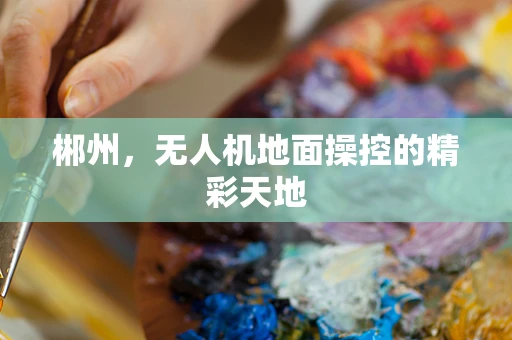 郴州，无人机地面操控的精彩天地