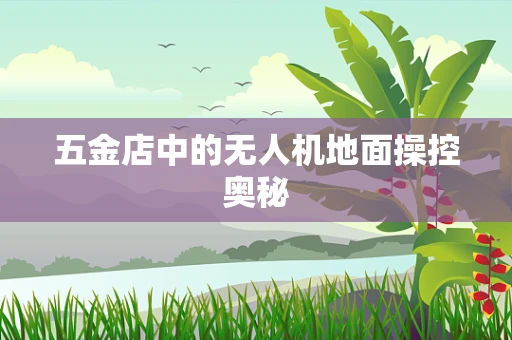 五金店中的无人机地面操控奥秘