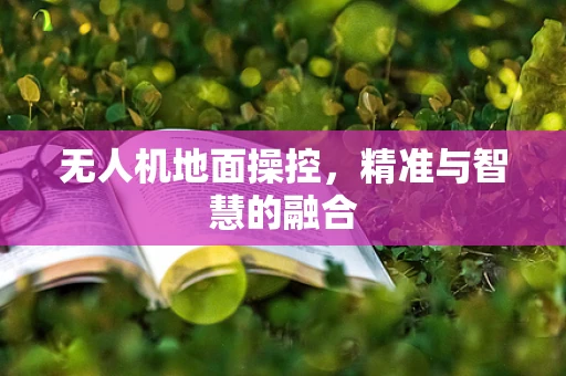 无人机地面操控，精准与智慧的融合