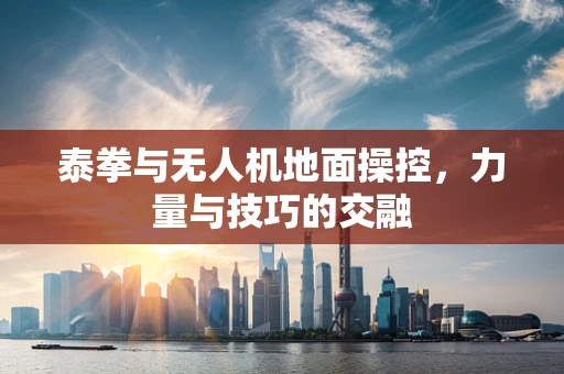 泰拳与无人机地面操控，力量与技巧的交融