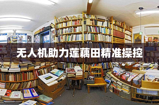 无人机助力莲藕田精准操控