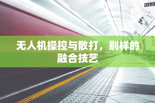 无人机操控与散打，别样的融合技艺