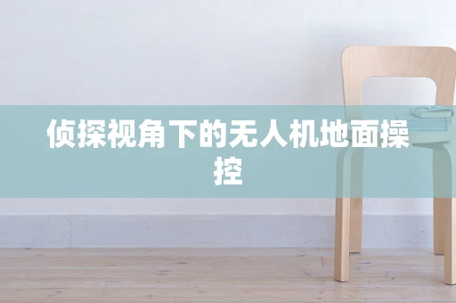 侦探视角下的无人机地面操控