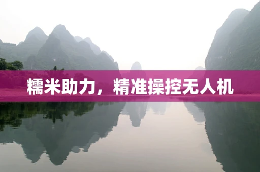 糯米助力，精准操控无人机