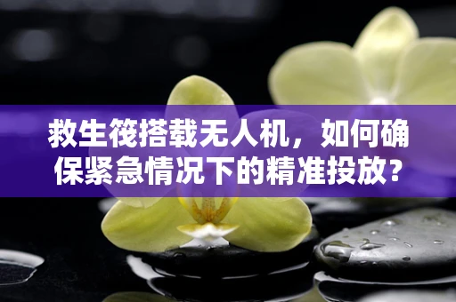 救生筏搭载无人机，如何确保紧急情况下的精准投放？