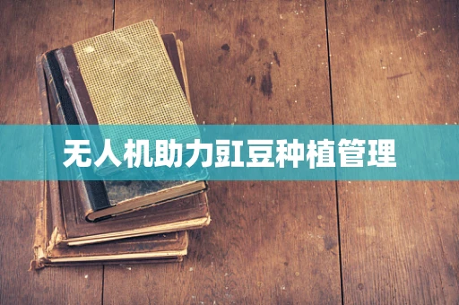无人机助力豇豆种植管理