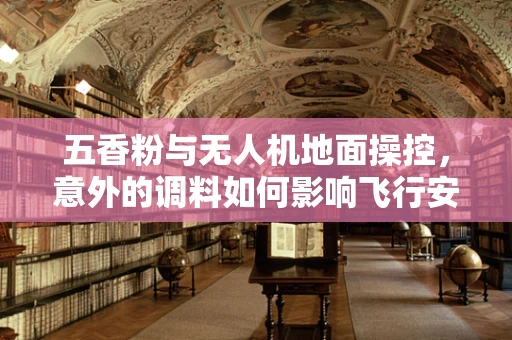 五香粉与无人机地面操控，意外的调料如何影响飞行安全？