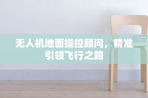 无人机地面操控顾问，精准引领飞行之路