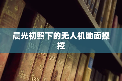 晨光初照下的无人机地面操控