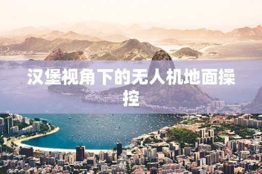 汉堡视角下的无人机地面操控