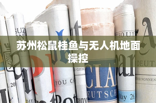 苏州松鼠桂鱼与无人机地面操控