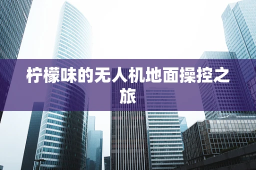 柠檬味的无人机地面操控之旅