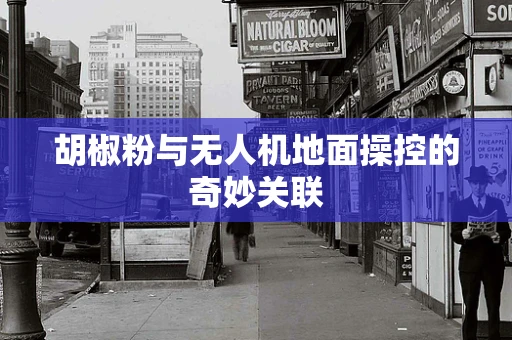 胡椒粉与无人机地面操控的奇妙关联