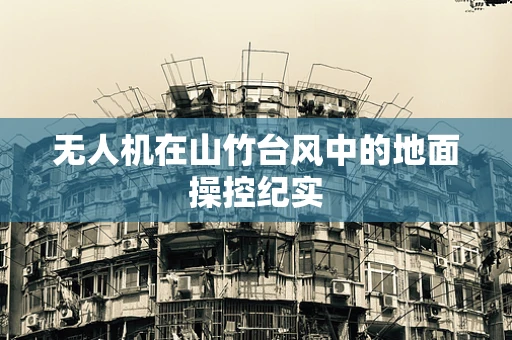 无人机在山竹台风中的地面操控纪实