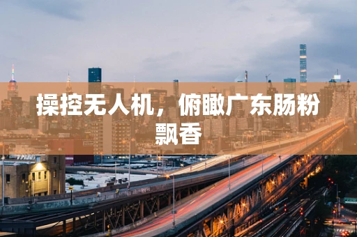 操控无人机，俯瞰广东肠粉飘香