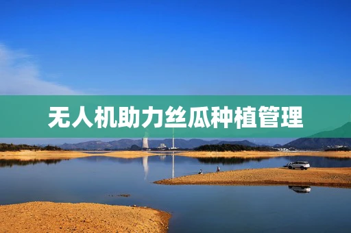无人机助力丝瓜种植管理