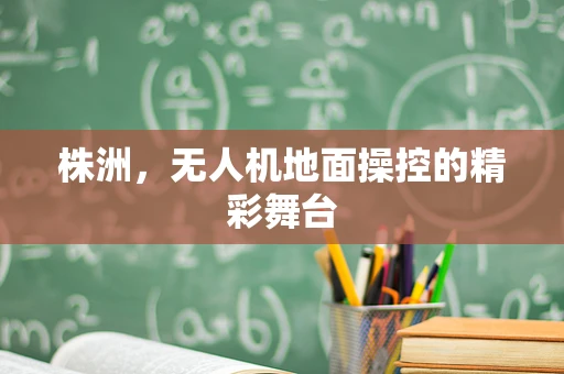 株洲，无人机地面操控的精彩舞台