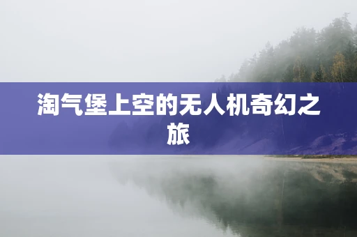 淘气堡上空的无人机奇幻之旅
