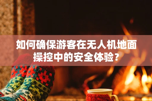 如何确保游客在无人机地面操控中的安全体验？