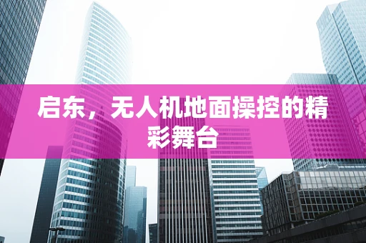 启东，无人机地面操控的精彩舞台