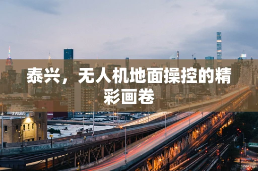 泰兴，无人机地面操控的精彩画卷