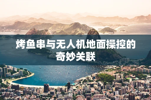 烤鱼串与无人机地面操控的奇妙关联