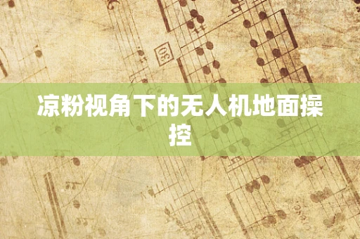 凉粉视角下的无人机地面操控