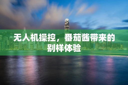 无人机操控，番茄酱带来的别样体验