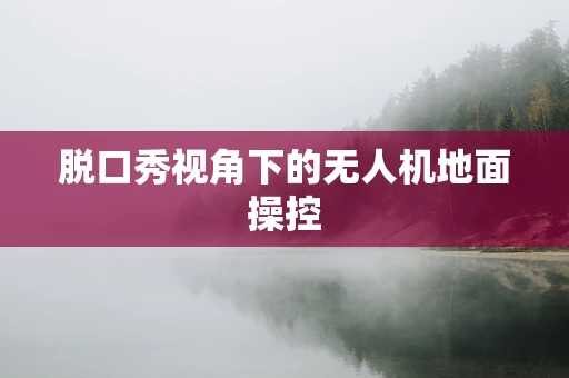 脱口秀视角下的无人机地面操控