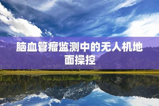 脑血管瘤监测中的无人机地面操控