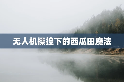 无人机操控下的西瓜田魔法