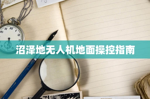 沼泽地无人机地面操控指南
