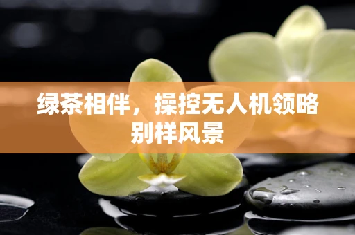 绿茶相伴，操控无人机领略别样风景