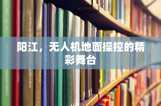 阳江，无人机地面操控的精彩舞台