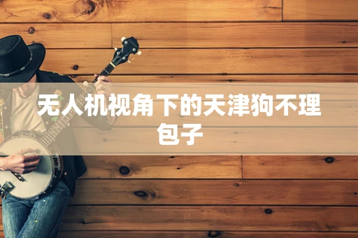 无人机视角下的天津狗不理包子