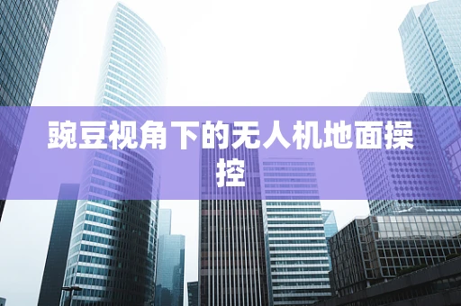豌豆视角下的无人机地面操控